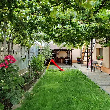 Lavender Apartment Sanpetru